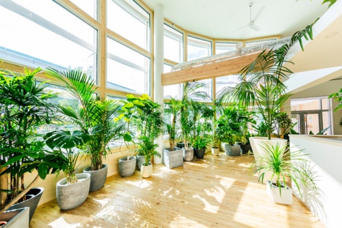 尊龙凯时 - 人生就得搏!(中国)官网