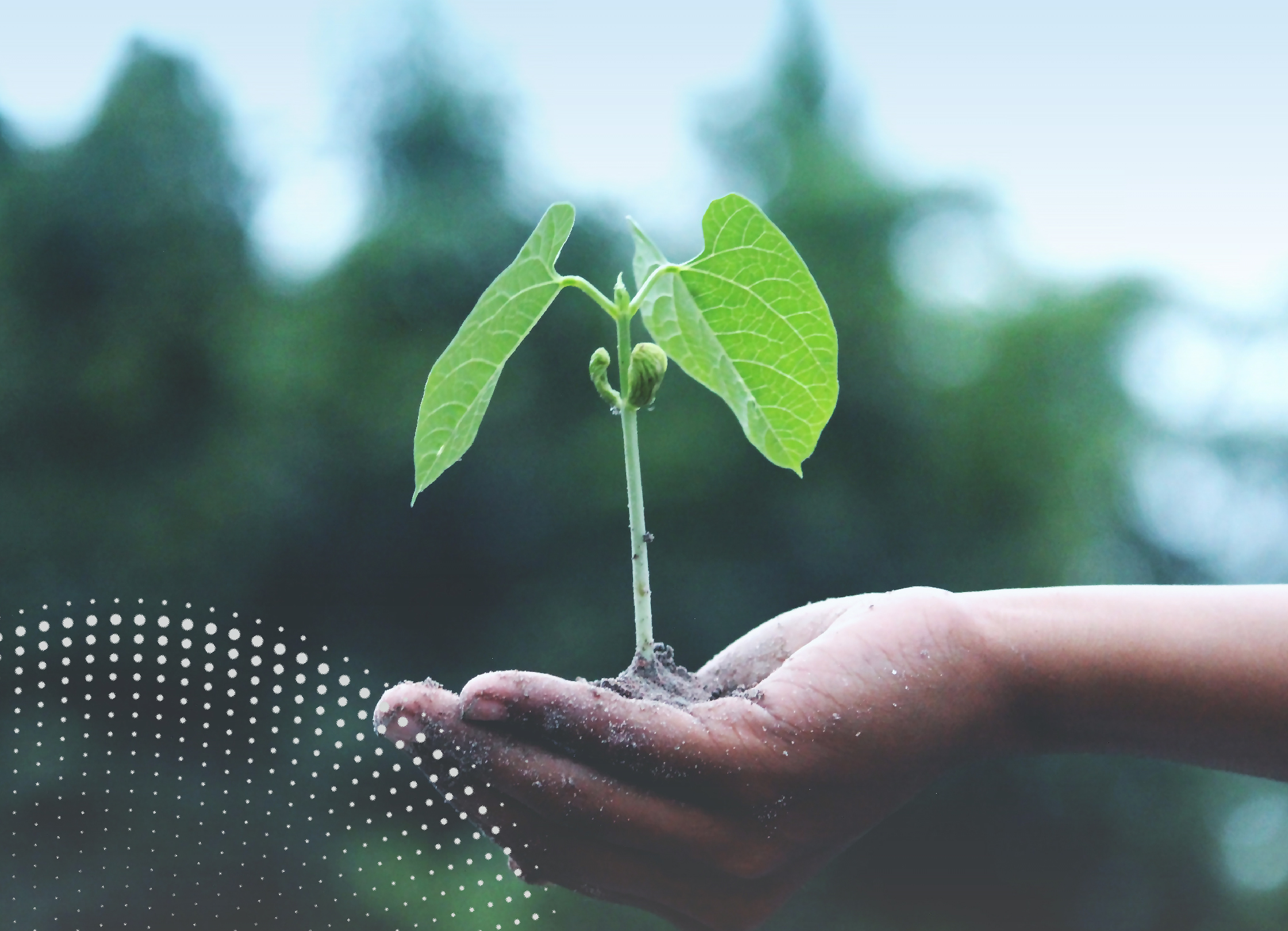 尊龙凯时 - 人生就得搏!(中国)官网