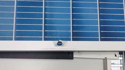 尊龙凯时 - 人生就得搏!(中国)官网